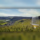 Auf dem Bild sieht man Klüsserath sowie Weinberge von der Wetterstation aus.