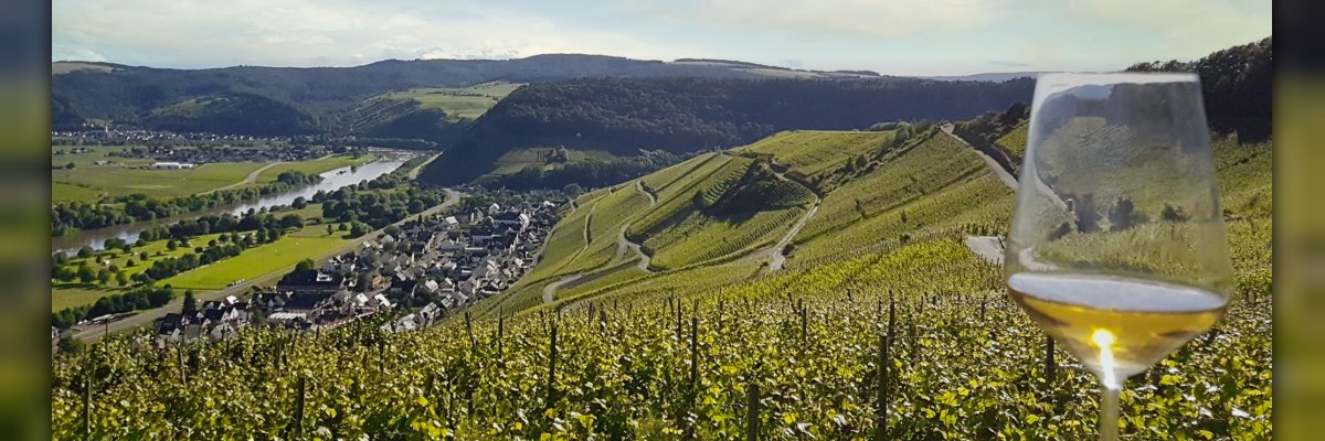 Auf dem Bild sieht man Klüsserath sowie Weinberge von der Wetterstation aus.